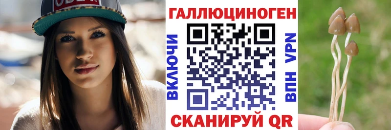 Галлюциногенные грибы GOLDEN TEACHER  Красногорск 