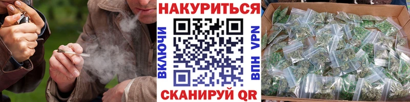 Бошки Шишки план  Красногорск 